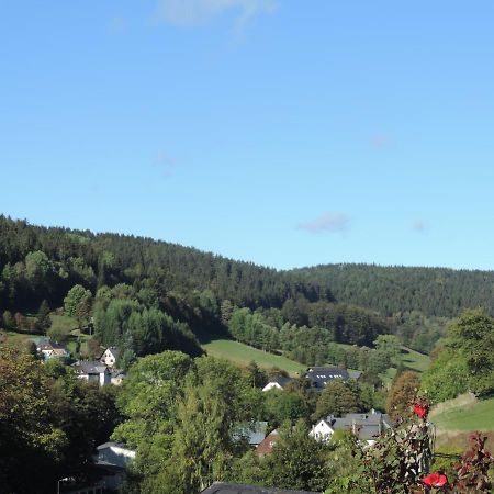 Sonnenblick Rittersgruen I Apartman Breitenbrunn  Kültér fotó