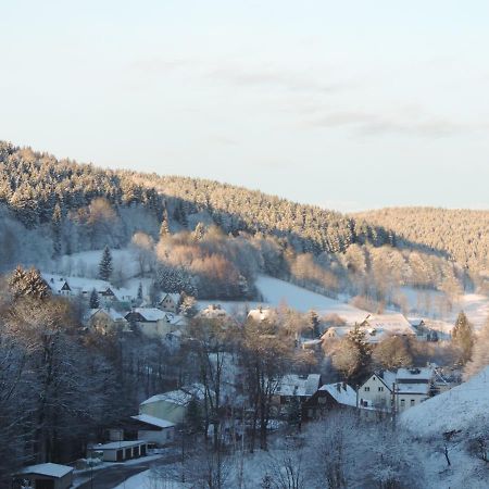 Sonnenblick Rittersgruen I Apartman Breitenbrunn  Kültér fotó